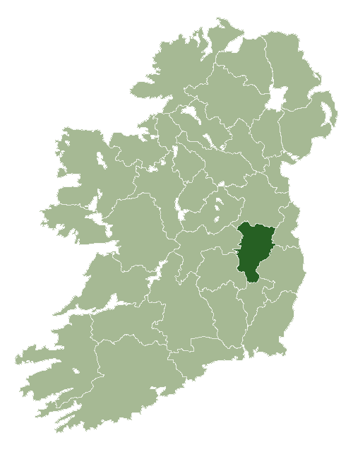 Kildare Genealogy Online Genealogy Research Service Roots Ireland